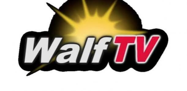 Logo Walf TV