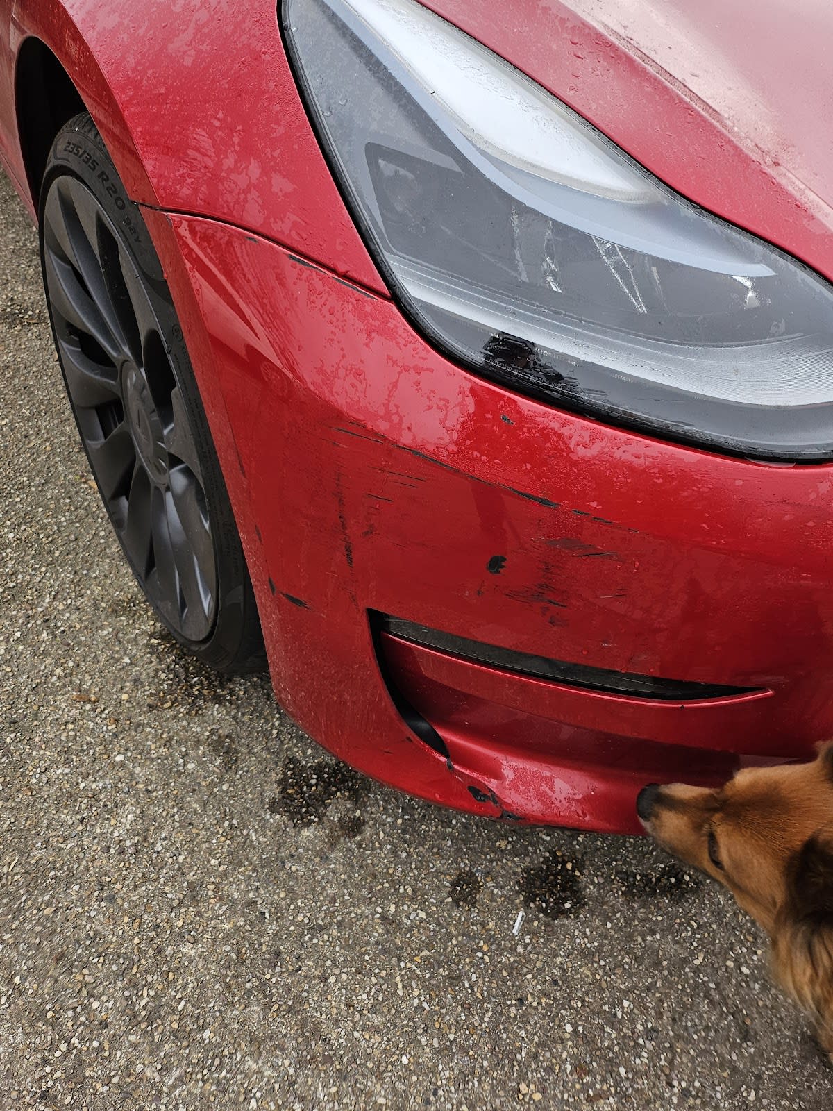 FCW Accident Repair Centre - Jaguar image