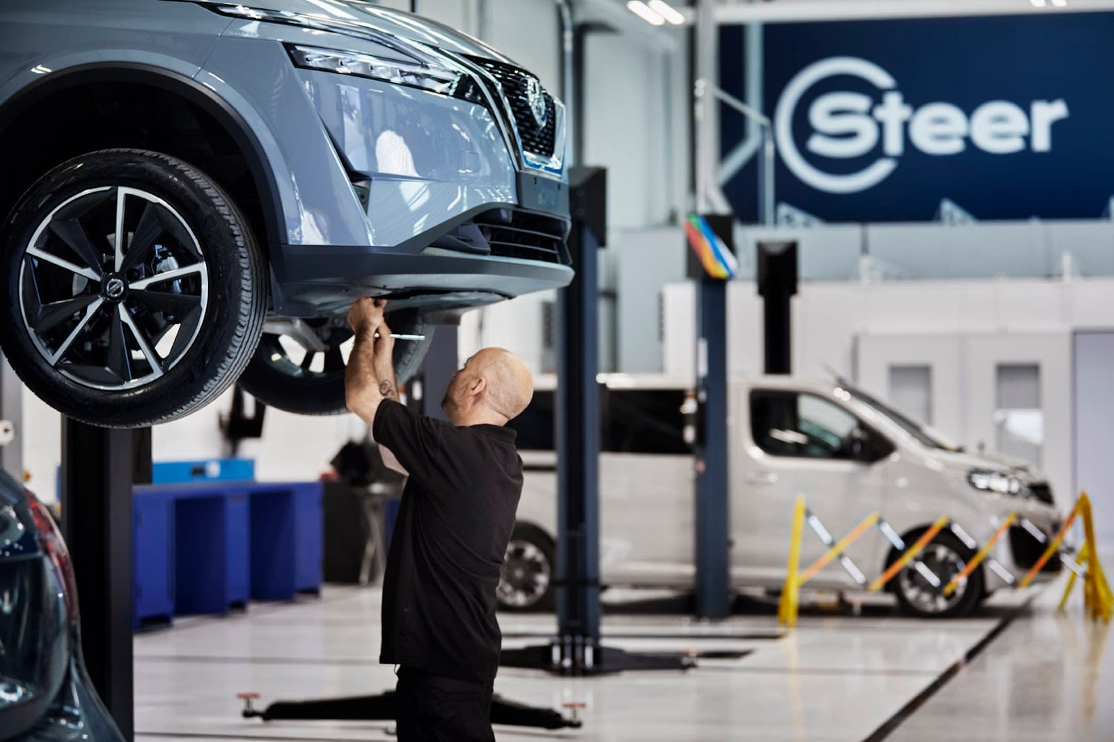 Steer Tamworth image