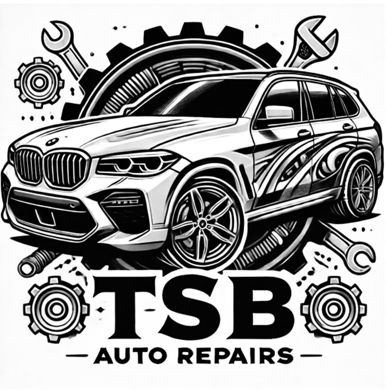 T S B Auto Repairs image