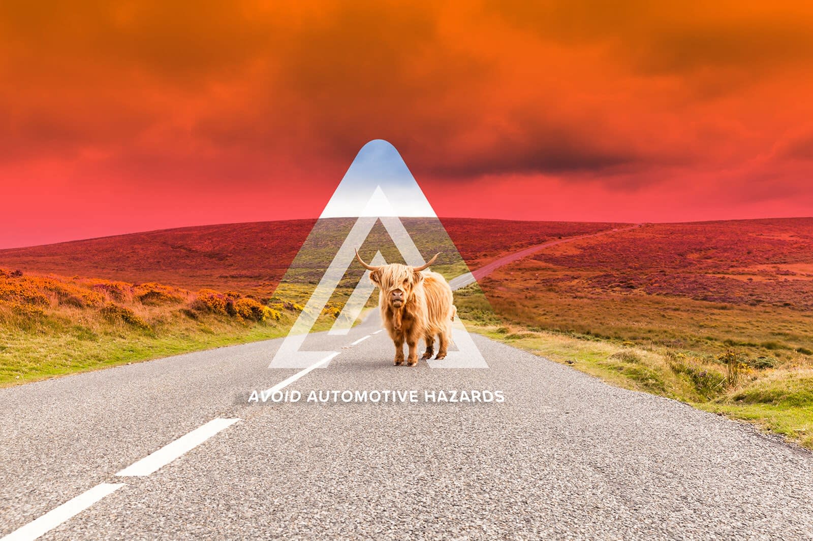 Auto Advisor UK image