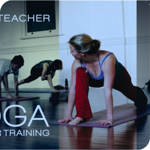 Life and Balance Yoga Teacher Training logo