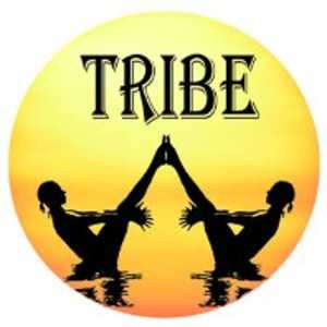 Tribe Level 1 & 2 One Month Residential Yoga Teacher Training Courses logo