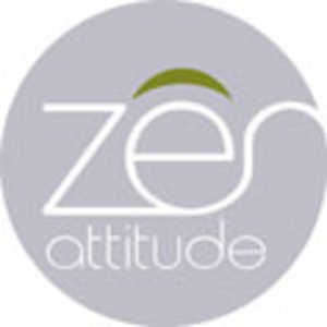 Zen Attitude, Wellness Coaching, Yoga & Ayurveda logo