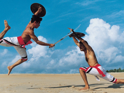 The Way of the Warrior