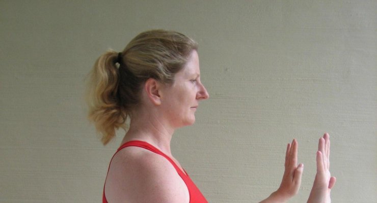 Free Introduction to Shadow Yoga Class