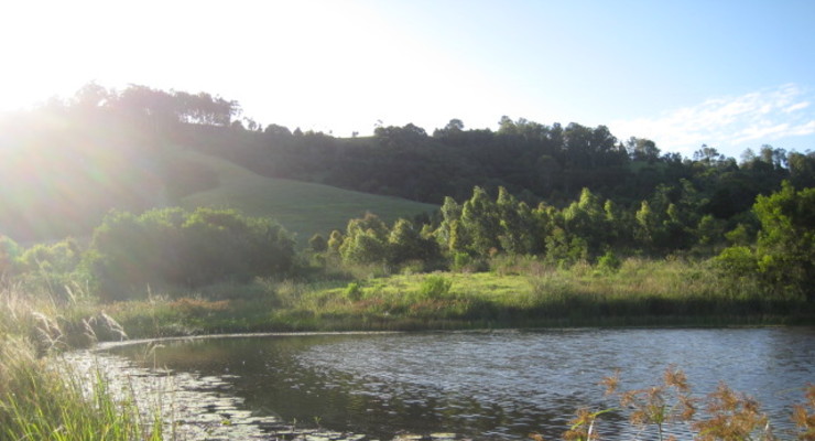 Spring Bellbunya Yoga Retreat with Alison Sykes