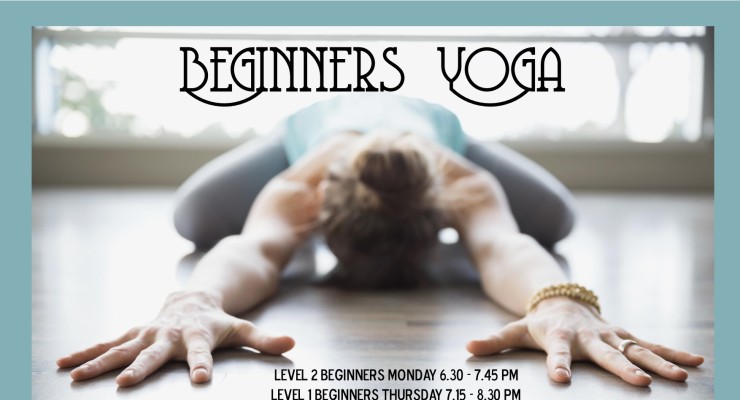 Beginners courses Mona Vale 