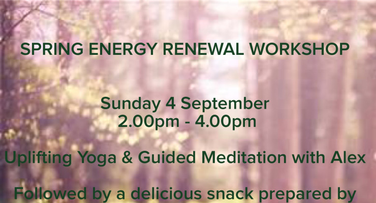 Spring Energy Renewal Workshop