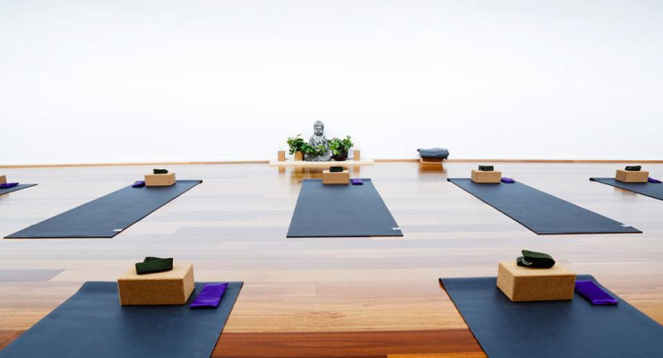 Yoga Align Workshop 