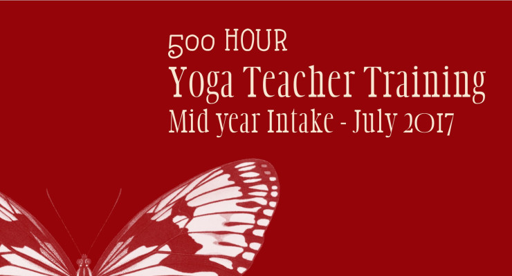 Yoga Teacher Training Preview Sessions