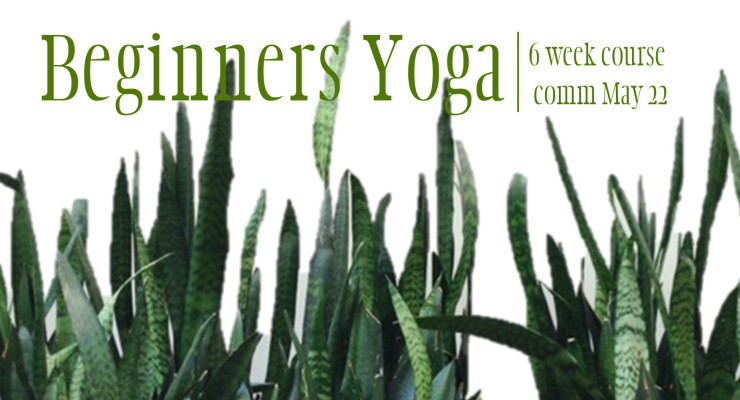 6 week beginners Yoga Course 