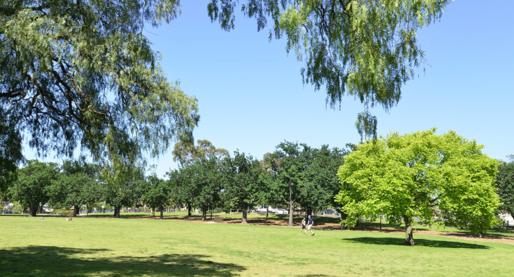 Free Yoga in the Park