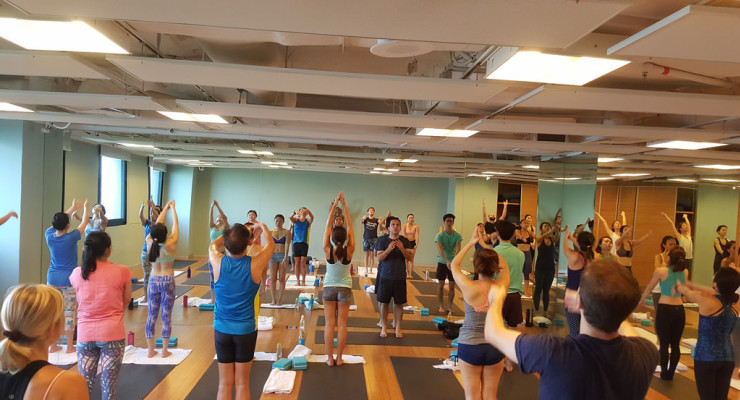 Yoga Teacher Training Course in India - Yoga Trainers India