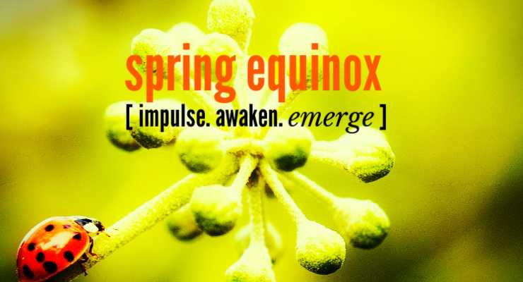 SPRING EQUINOX SESSION  :::  EMERGE