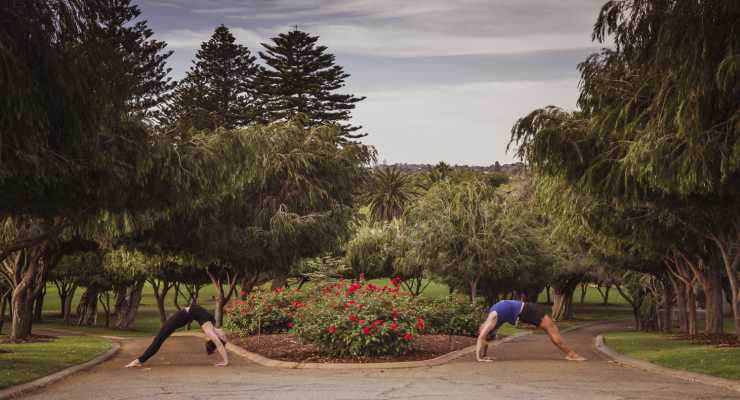 Backebending at Yoga Grooves