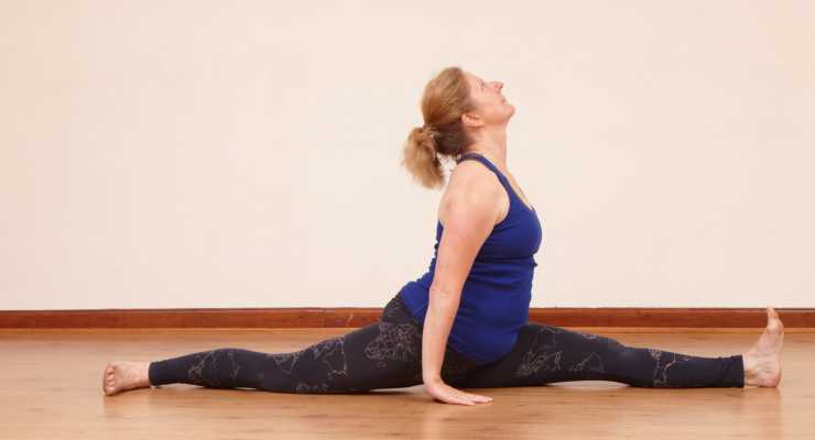 Asana - Angahara  (Asana Arrangements) 7 week course