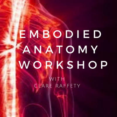 Embodied Yoga Anatomy for Yoga Practitioners and Teachers