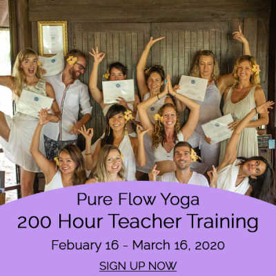 200 Hour Yoga Teacher Training