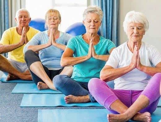 Teaching Yoga to Seniors Teacher Training Workshop