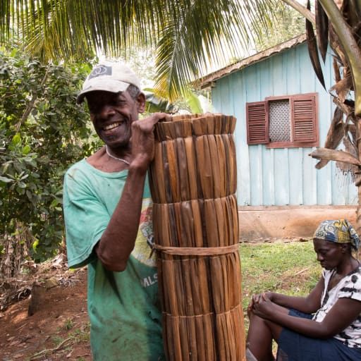 As esteiras do Sr. Trindade