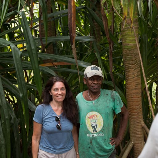 Matéria-prima para Esteiras