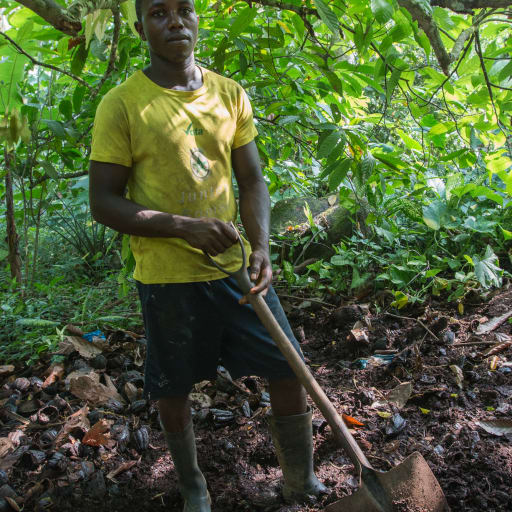 Composto orgânico - Celso Nazaré