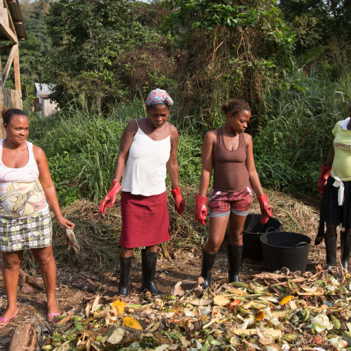 Reciclagem e Fabrico de Composto