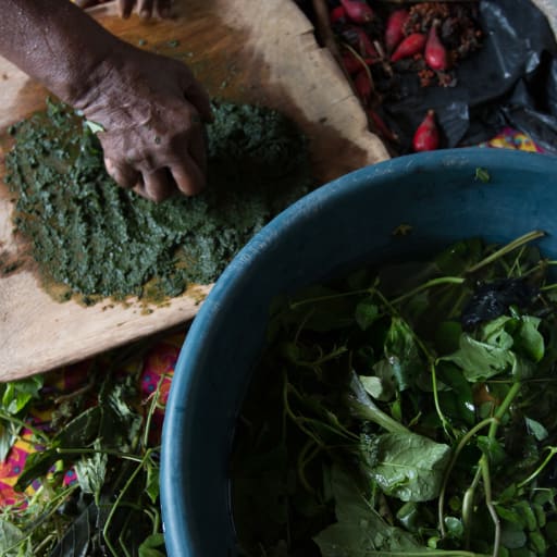Preparação das folhas para Azagoa