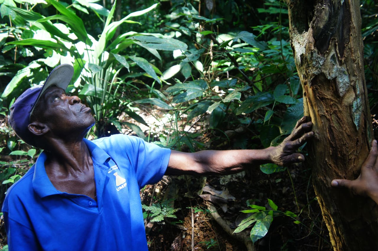 Colheita sustentável com Sum Costa