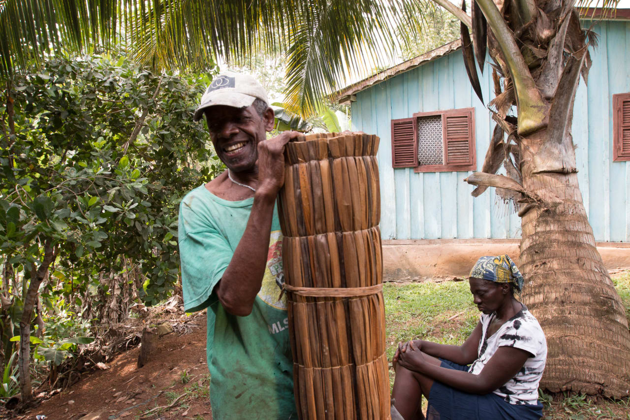 As esteiras do Sr. Trindade