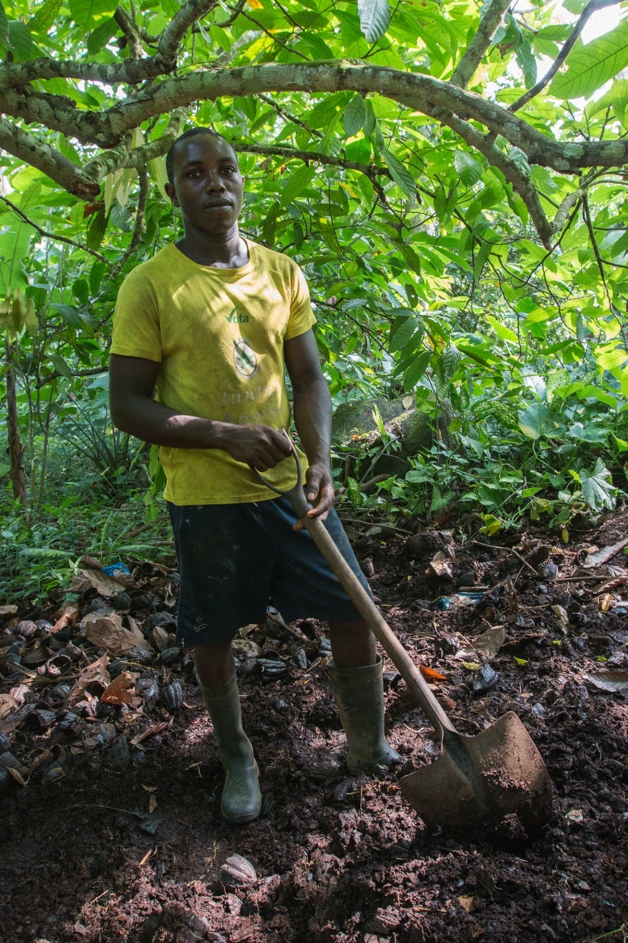 Composto orgânico - Celso Nazaré