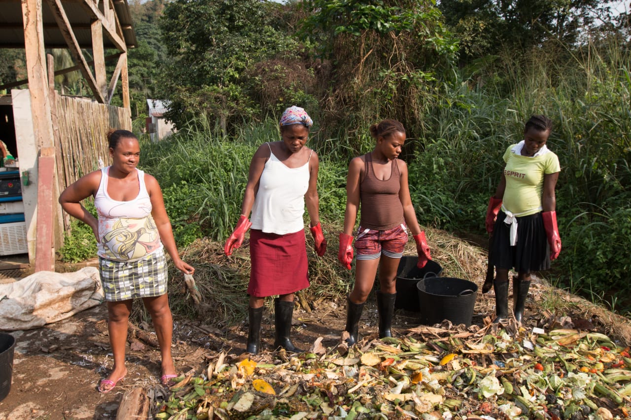 Reciclagem e Fabrico de Composto
