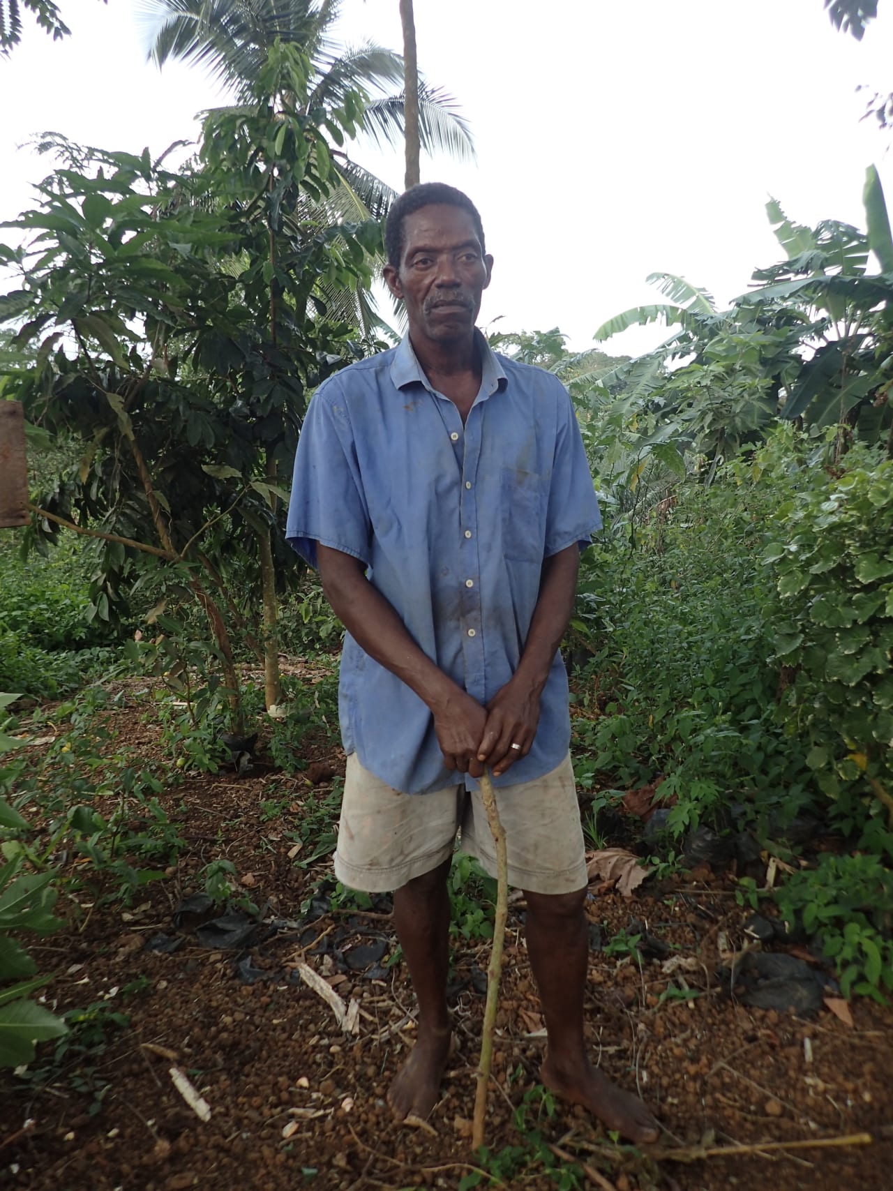 Sr. Ginho Massagista - Nova Estrela