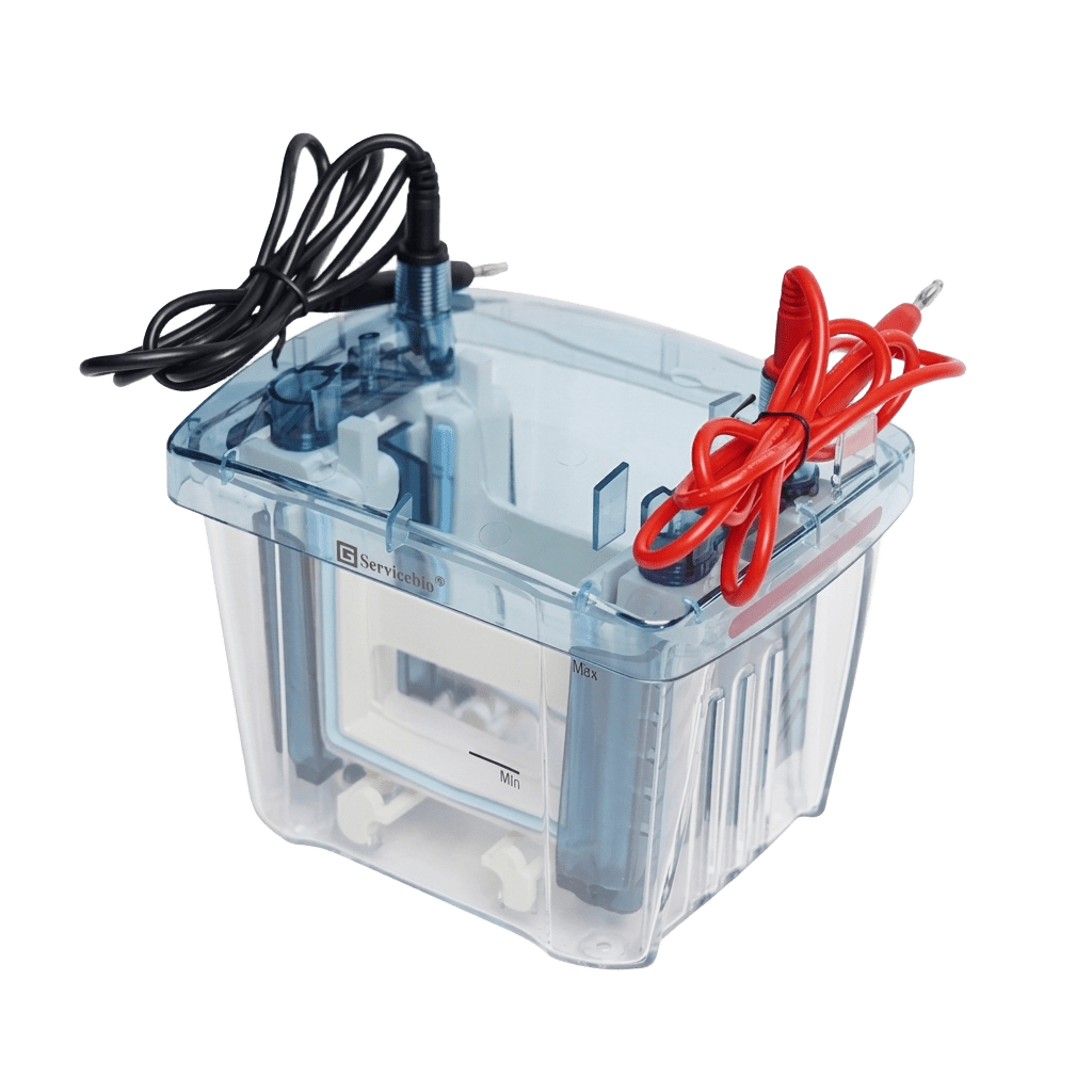 BVE-4 Vertical Electrophoresis System