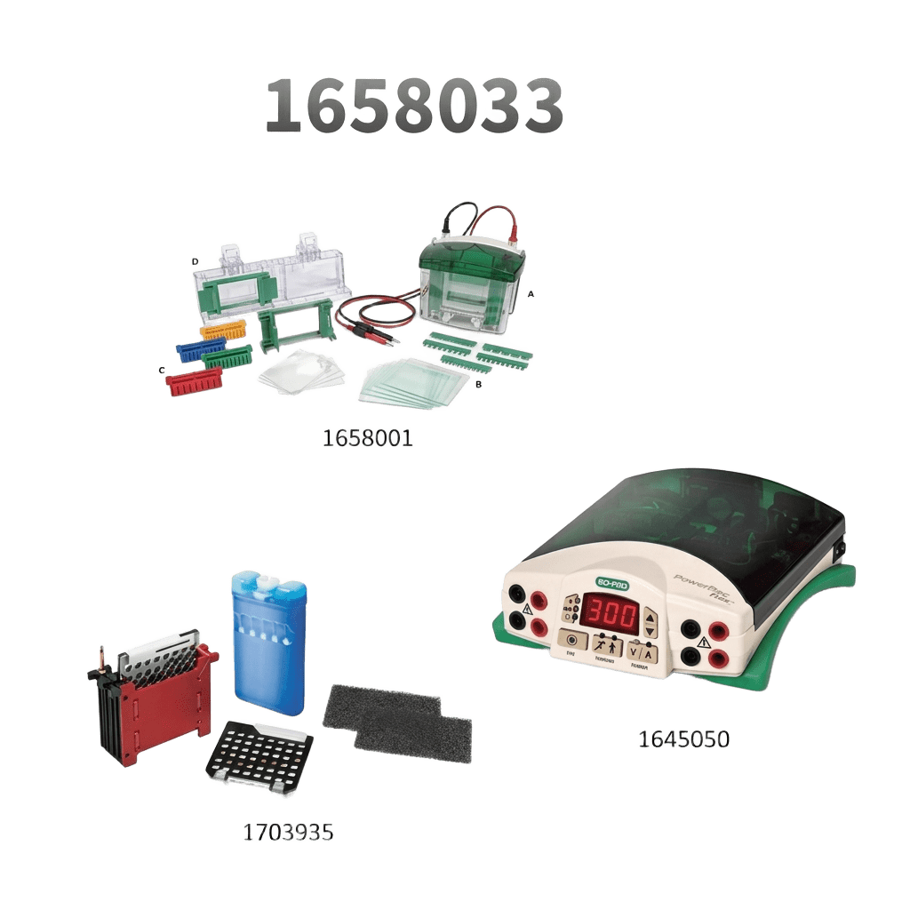 Mini-PROTEAN® Tetra and PowerPac™ Basic Western Blot System