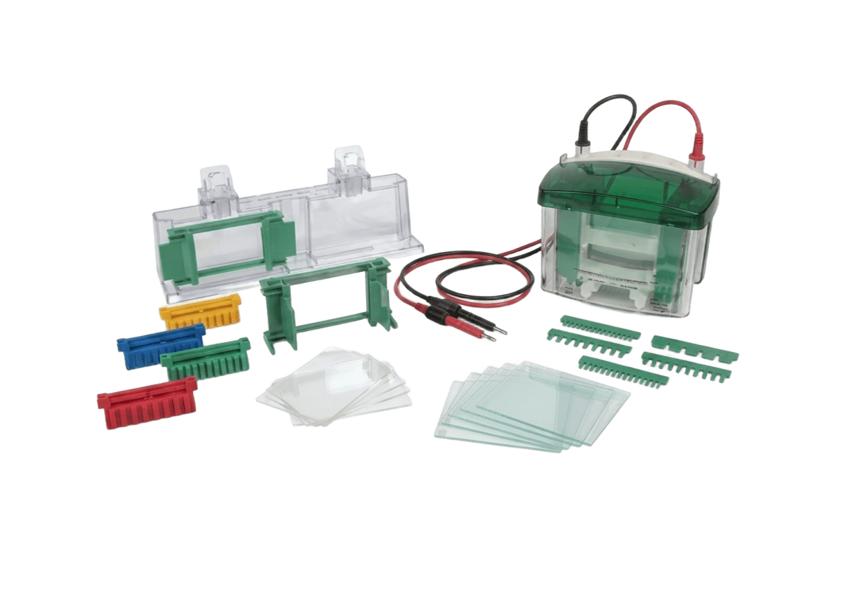 Mini-PROTEAN® Tetra Vertical Electrophoresis System
