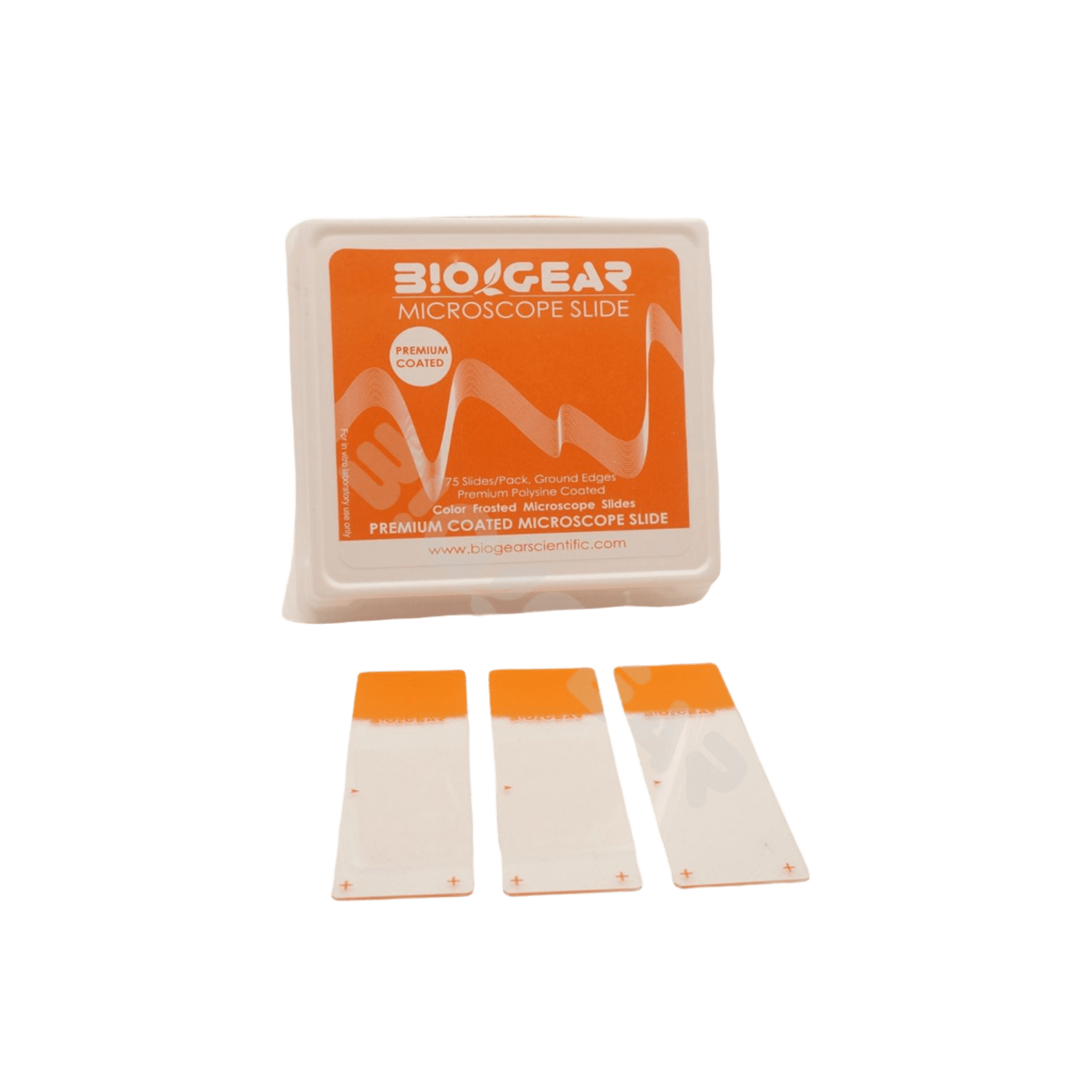 Poly L Lysine Coated Microscope slide