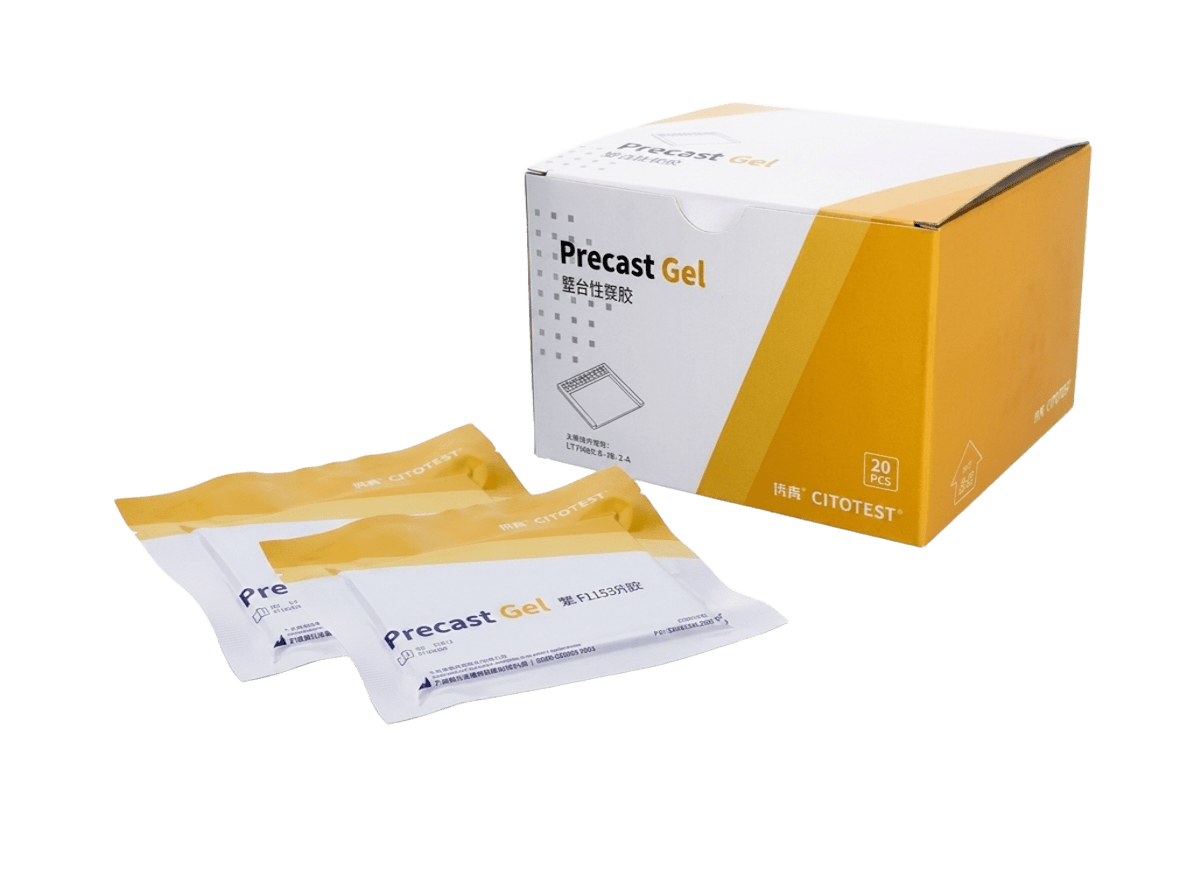 Precast Protein Gels