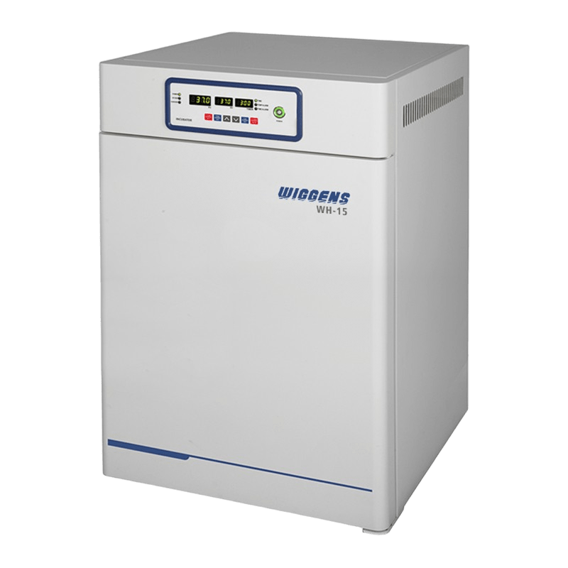WH Series Constant Temperature Incubator