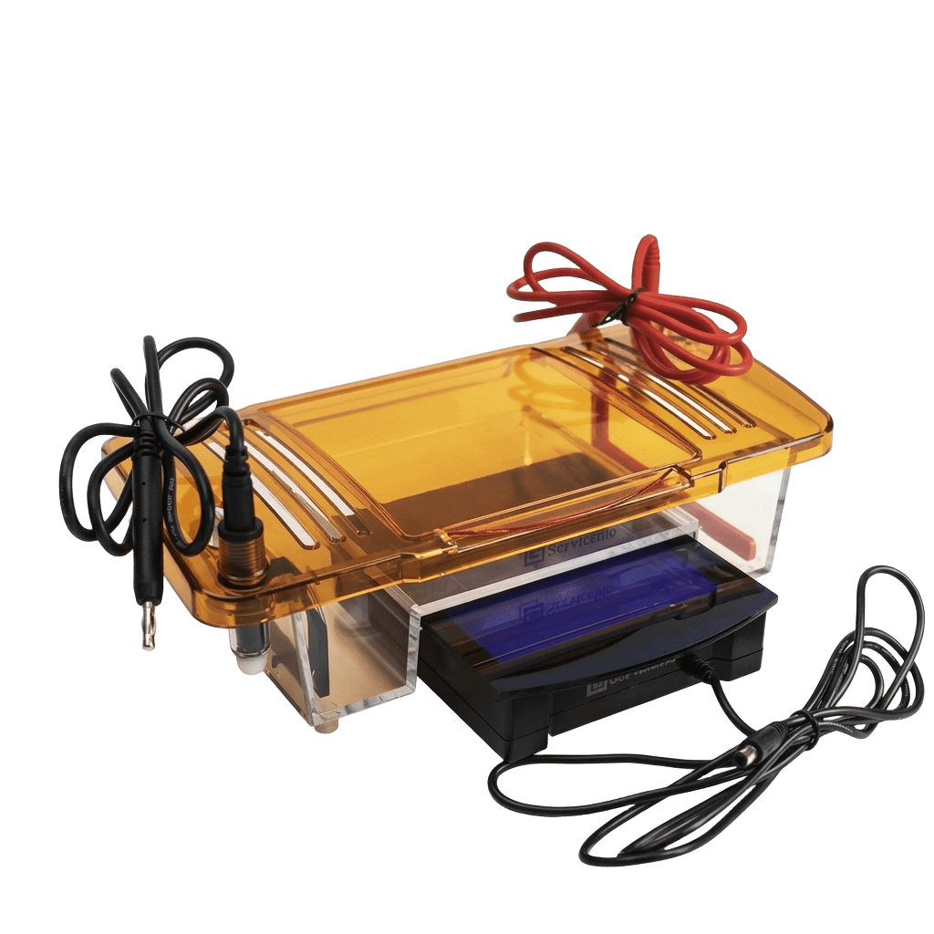 Horizontal Electrophoresis System （Electrophoresis Tank + Blue Light Transilluminator)