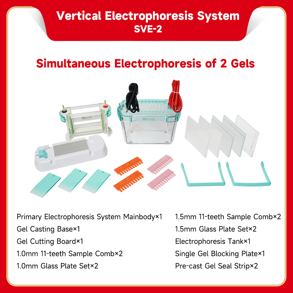SVE Series Vertical Electrophoresis System