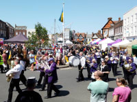 Ray Collins Carnival Parade rfcqcn