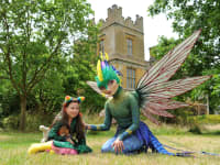 Fantasy forest Winchcombe 