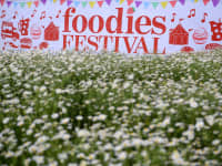 Foodies Festival 2019