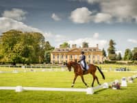 Dressage in front of Cornbury House cu4uea