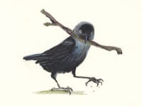 Jackdaw stick