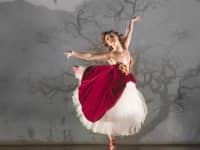 THE RED SHOES. Ashley Shaw Victoria Page . Photo by Johan Persson 3 