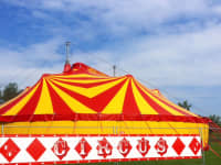 circus webmain