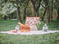 Picnic Basket